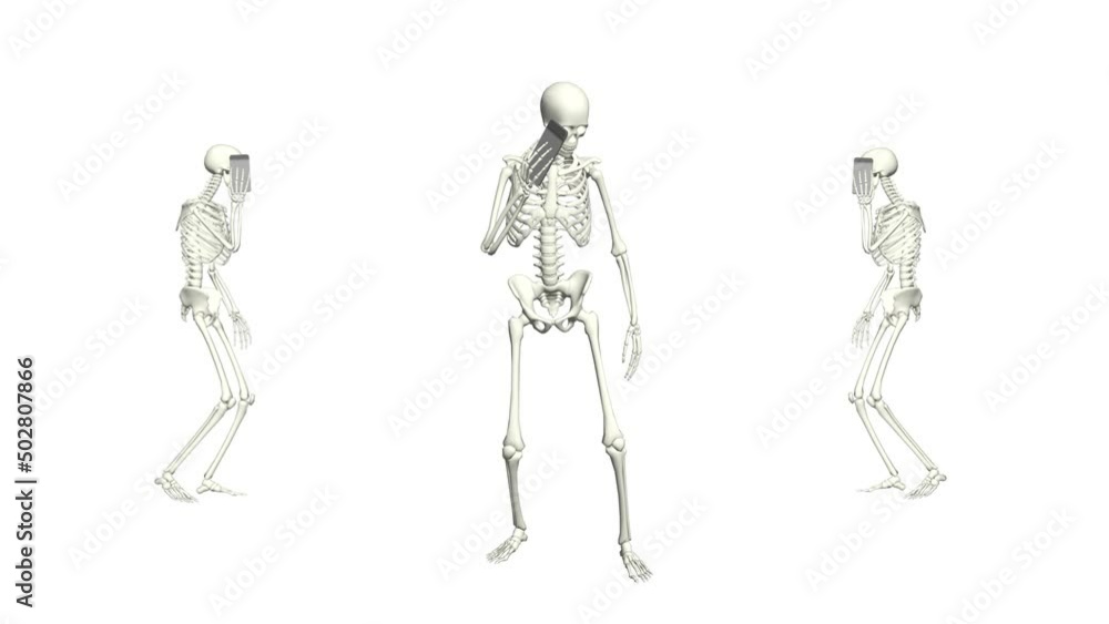 Skeleton is talking on the phone. Skeleton conversation using the phone. 3D realistic animation. Skeleton is talking on the phone. Skeleton conversation using the phone. 3D realistic animation.