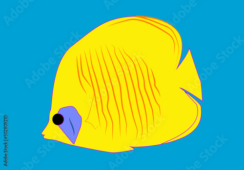 Pez mariposa amarillo sobre fondo azul