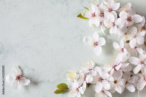 Fototapeta Naklejka Na Ścianę i Meble -  Blooming cherry plum branch on decorative paper background, space for congratulations text