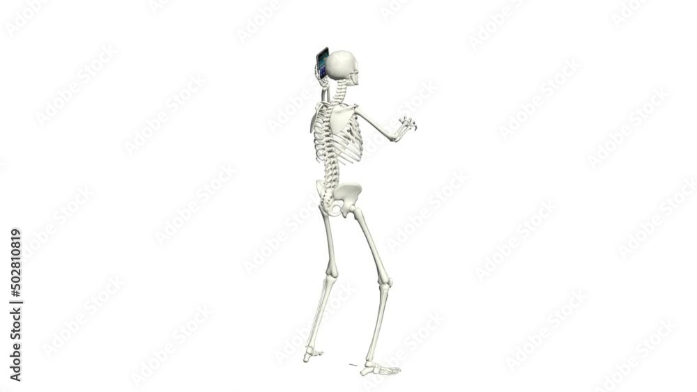 Skeleton is talking on the phone. Skeleton conversation using the phone. 3D realistic animation. White background. Skeleton is talking on the phone. Skeleton conversation using the phone. 3D realistic animation. White background.
