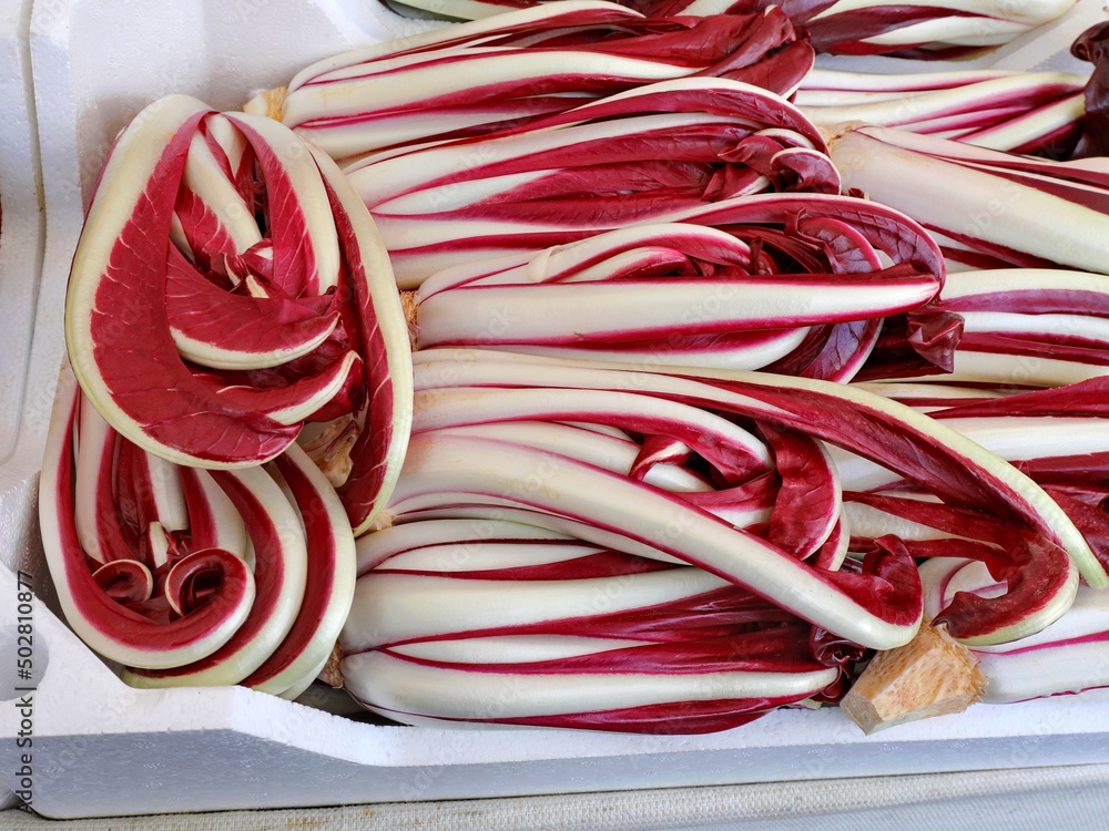 red chicory  for sale at greengrocer shop