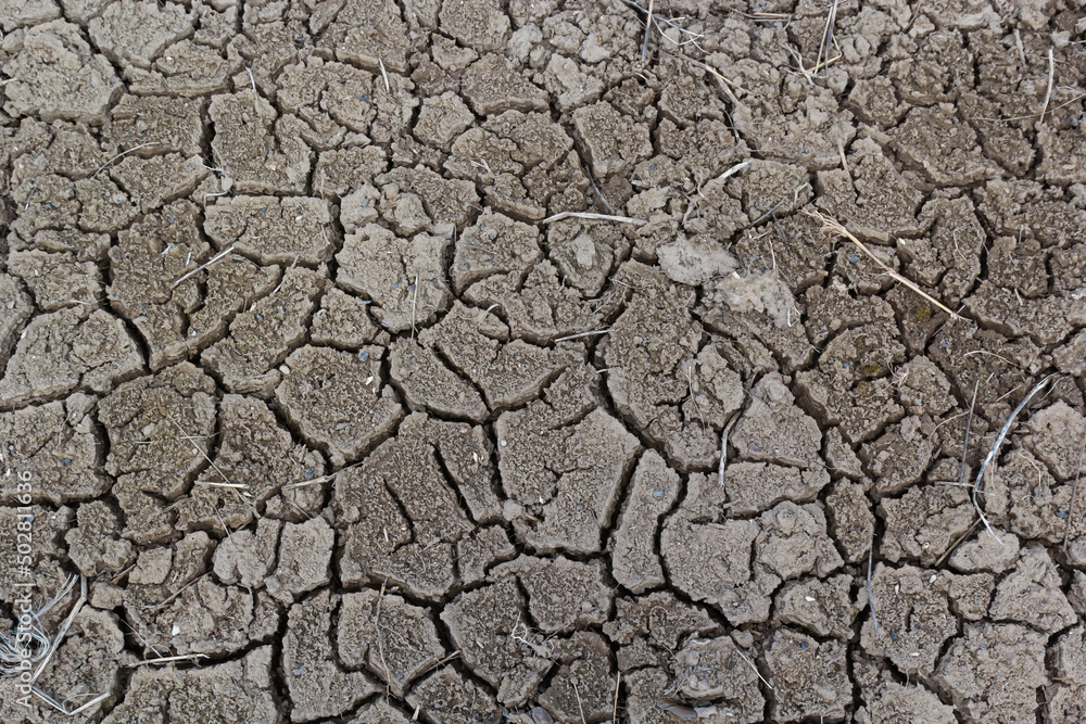 The cracked ground, Ground in drought, Soil texture and dry mud, Dry land The cracked ground, Ground in drought, Soil texture and dry mud, Dry land