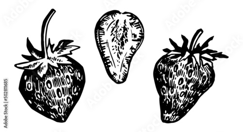 Collection of strawberry berries. Summer edible berry set. Hand drawn vector illustration. Retro engraving style cliparts isolated on white background.