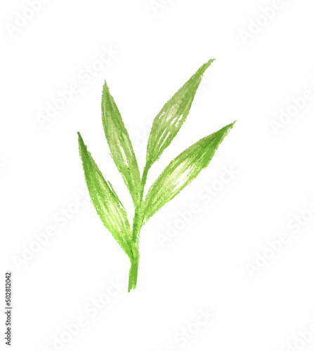 Zielone liście gałązka