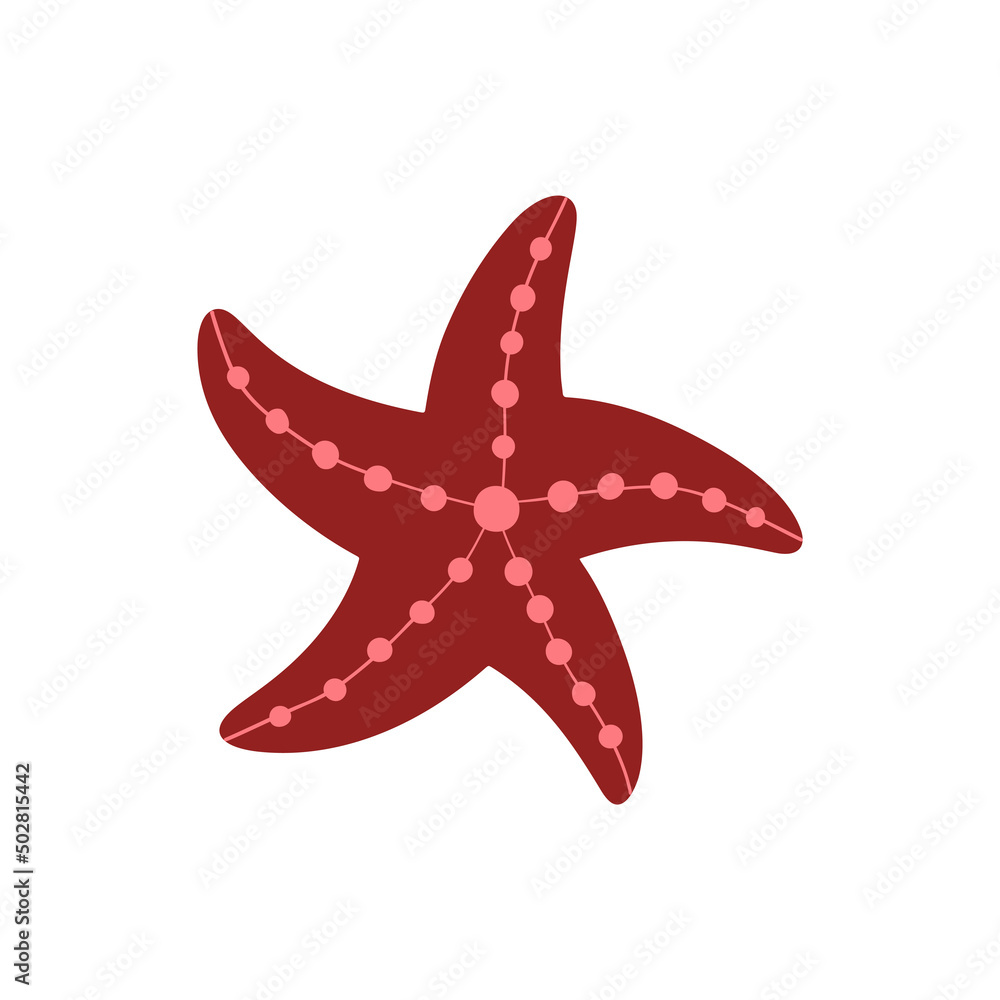 Illustration of starfish on white background. Vector illustration cartoon flat style Illustration of starfish on white background. Vector illustration cartoon flat style