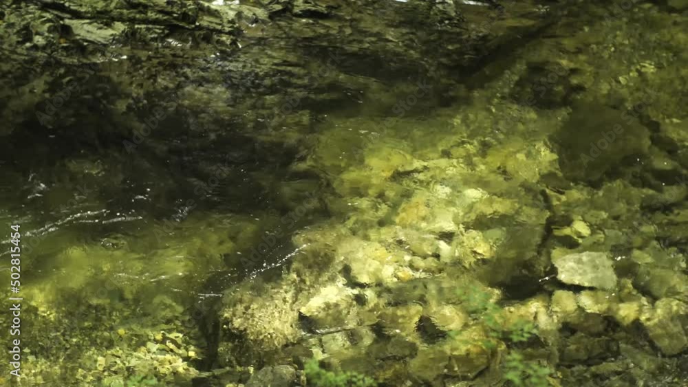 Water flows into a clear, refreshing stream in the summer time. Rocks are visible in this healing and calm water Water flows into a clear, refreshing stream in the summer time. Rocks are visible in this healing and calm water
