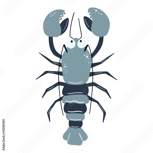 Illustration of sea crayfish on white background. Vector illustration cartoon flat style