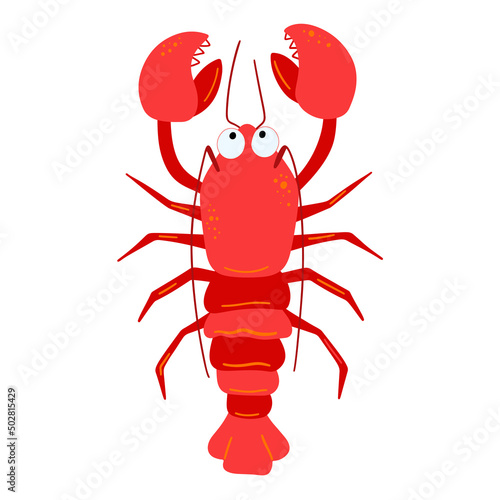 Illustration of sea crayfish on white background. Vector illustration cartoon flat style
