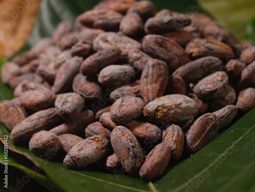 Cocoa beans close up 