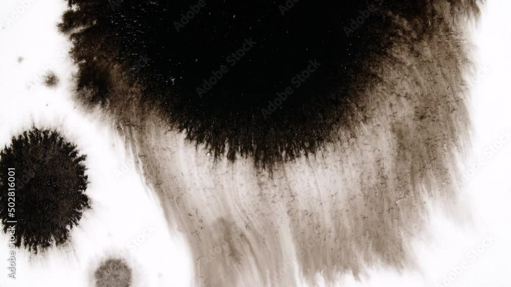 Black Ink Drops On White Background
Black Ink Drops On White Background