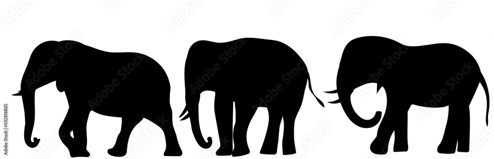 elephant black silhouette, on white background, isolated, vector elephant black silhouette, on white background, isolated, vector