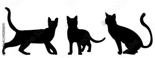 cats silhouette  on white background  isolated  vector