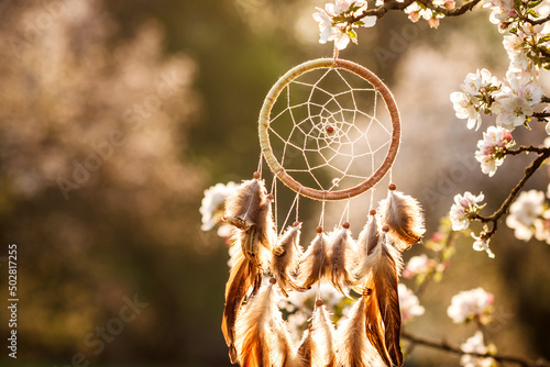 Bild auf Leinwand Dreamcatcher hanging on blooming tree in wind