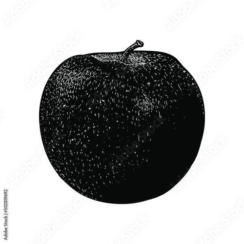 apple illustration isolated on background	