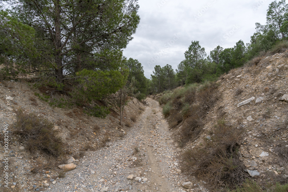 mountainous landscape in the province of Almeria mountainous landscape in the province of Almeria