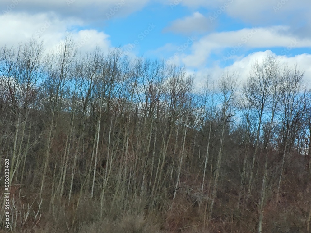 Fototapeta premium On The Road in Pennsylvania