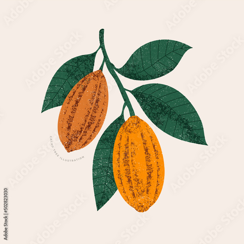 Chocolate cocoa beans botanical illustration. Colored textured cacao fruit with leaves. Vector illustration