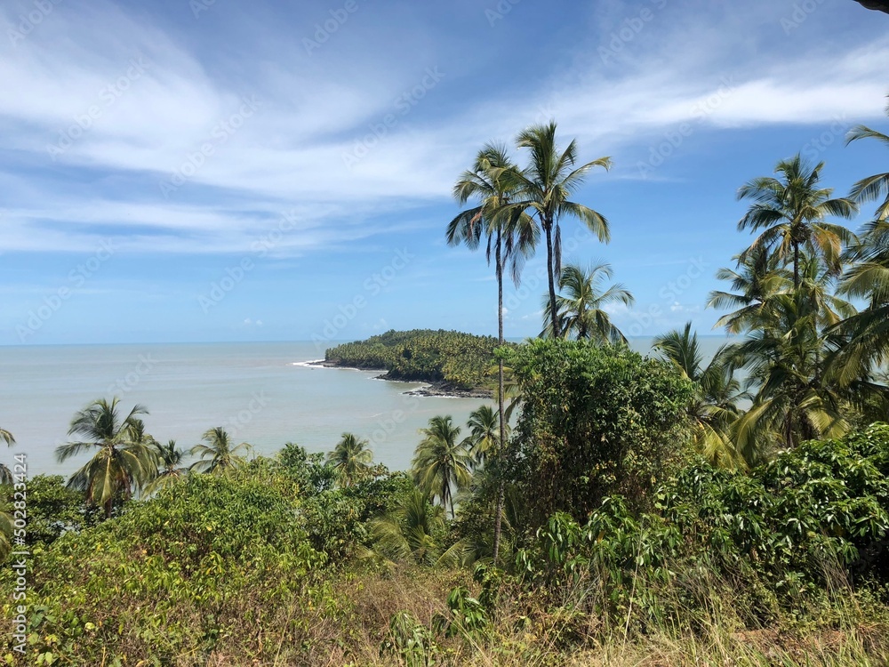 Obraz premium ile du salut Guyane