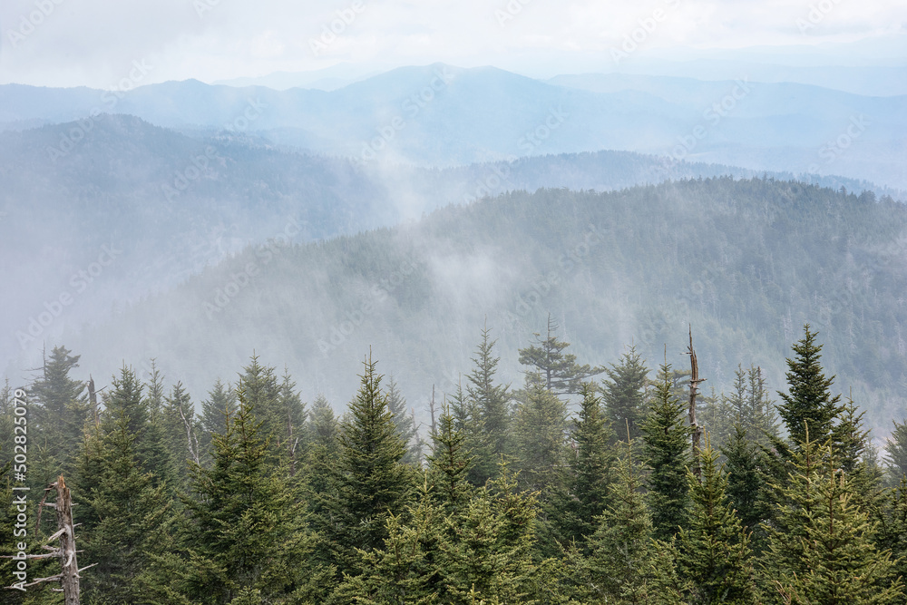 Clearing storm from the summit of Clingmans Dome, Great Smoky Mountains National Park, Tennessee/North Carolina border