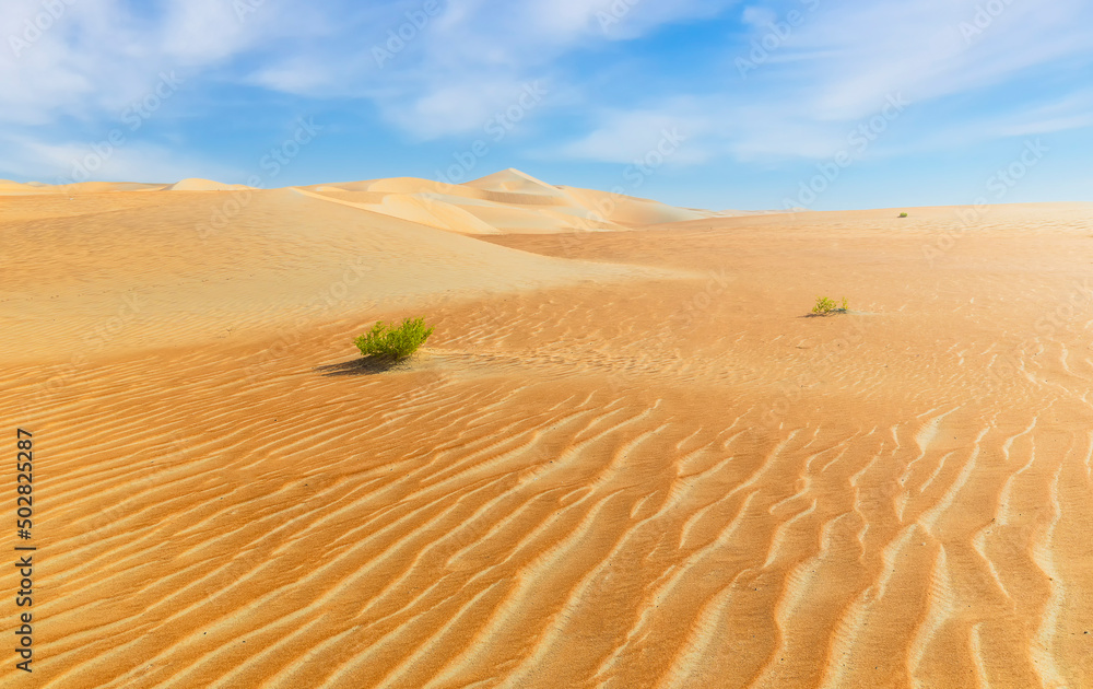 Dunes and colored sands of the Rub al-Khali desert Dunes and colored sands of the Rub al-Khali desert