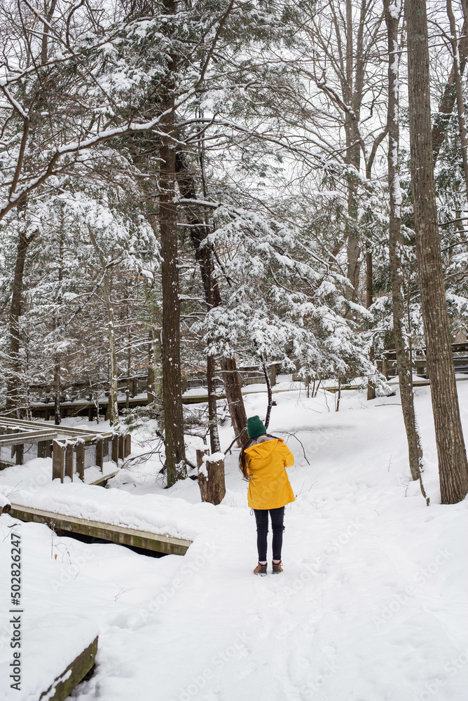 person walking in the snow