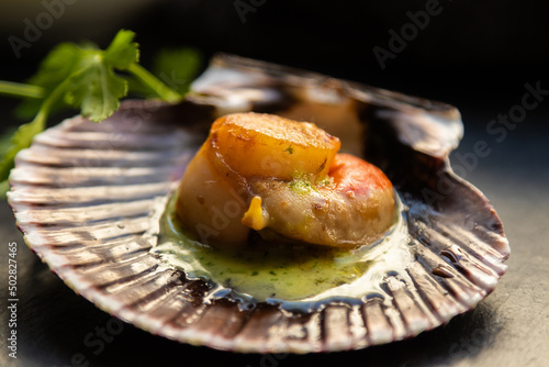 Fotografie, Obraz grilled scallop in green sauce with parsley