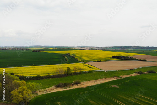 Spring landscape. We see fields and meadows in bloom. Green and yellow seeds predominate.