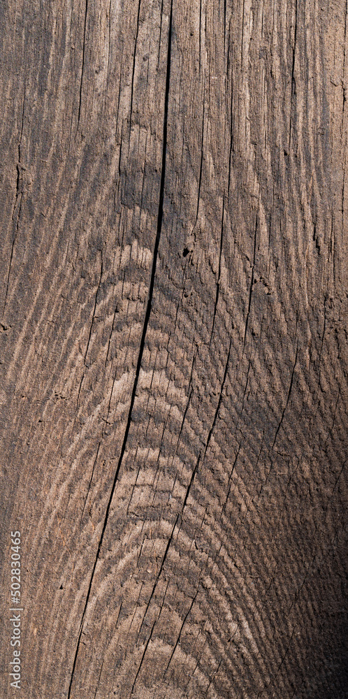 Boards made of wood material. Weathered hardwood with cracks and signs of aging Boards made of wood material. Weathered hardwood with cracks and signs of aging