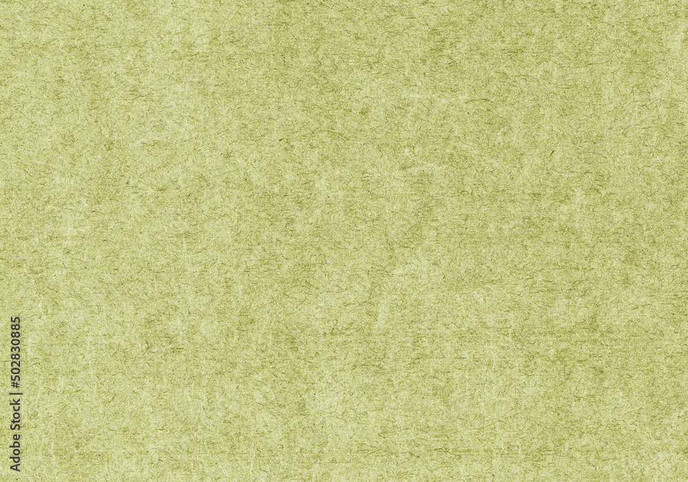 Fototapeta premium Green paper texture background - High resolution