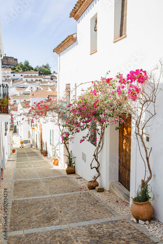 A beautiful street of a Mediterranean town with a stone-paved road and ceramic pots with flowering bougainvilleas standing along the walls of the buildings.Almonaster la Real, Spain. A vertical image.