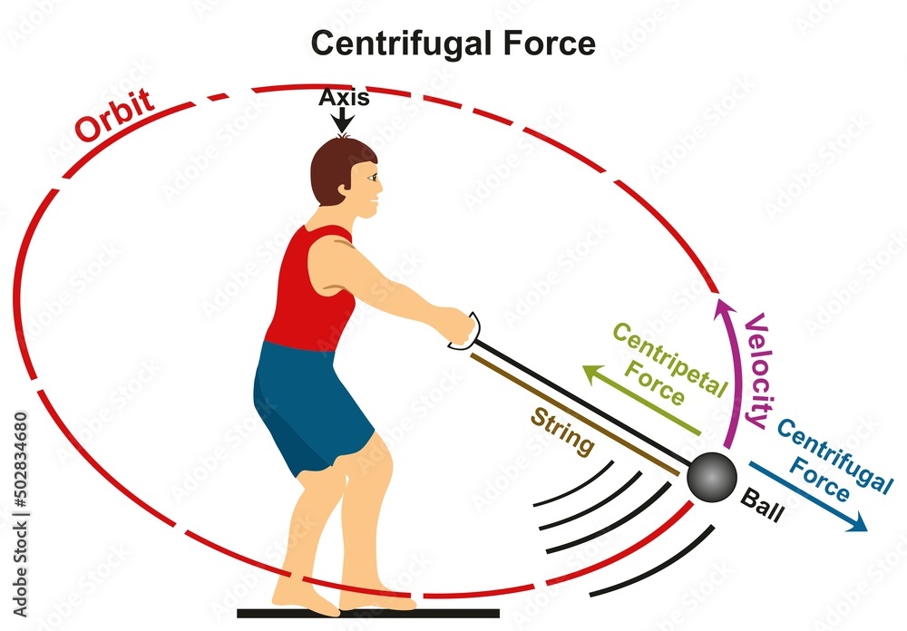 Vecteur Stock Centrifugal force infographic diagram physics science example  athlete playing hammer game sport moving ball in circle before throwing it  direction velocity centripetal force axis orbit string vector | Adobe Stock