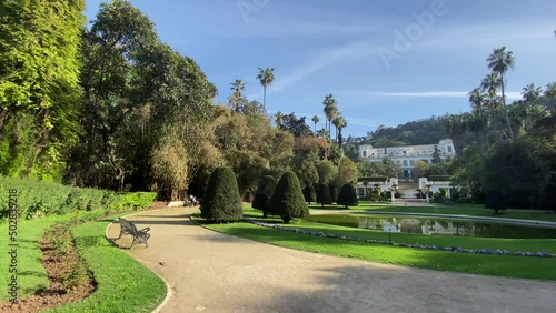 Green botanical garden.   photo