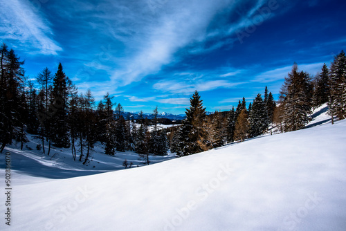 2021 12 11 Cima Larici snow and pines 7 © Alvise