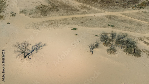 National Park de Loonse en Drunense Duinen in Udenhout Netherlands. Desert bright sunny day photo