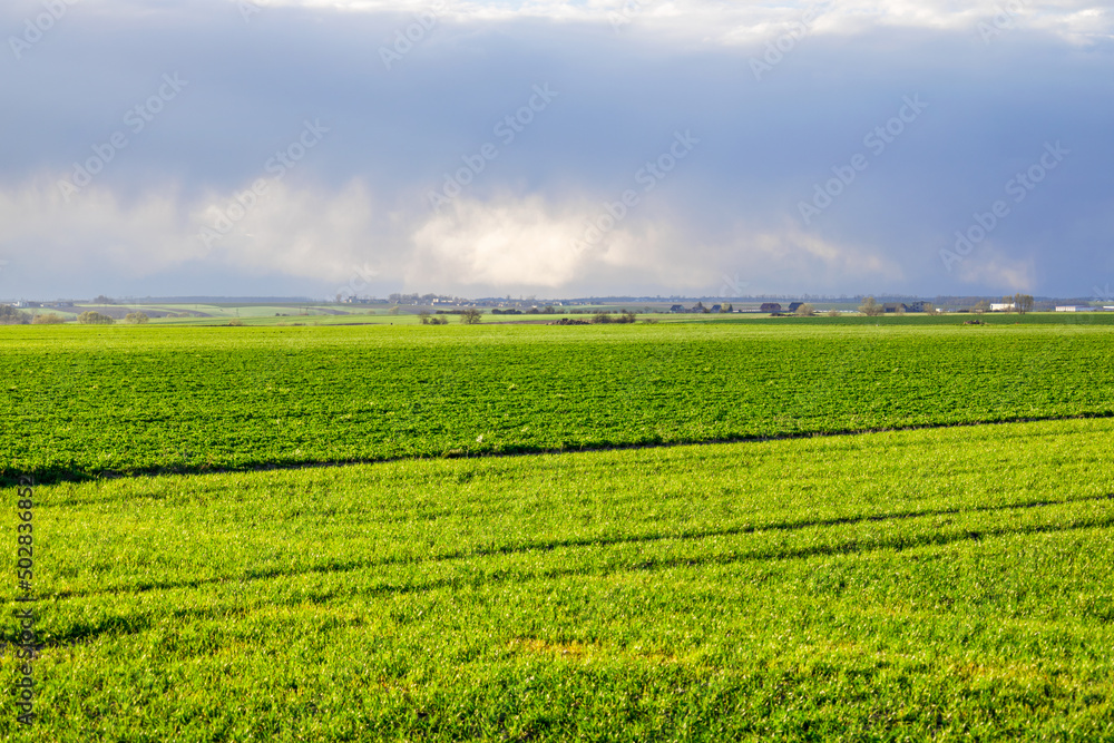 Huge beautiful green field stretching beyond the horizon Huge beautiful green field stretching beyond the horizon