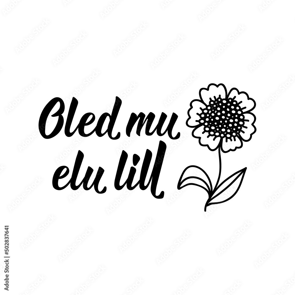 Translation from Estonian: You are the flower of my life. Vector illustration. Lettering. Ink illustration. Translation from Estonian: You are the flower of my life. Vector illustration. Lettering. Ink illustration.