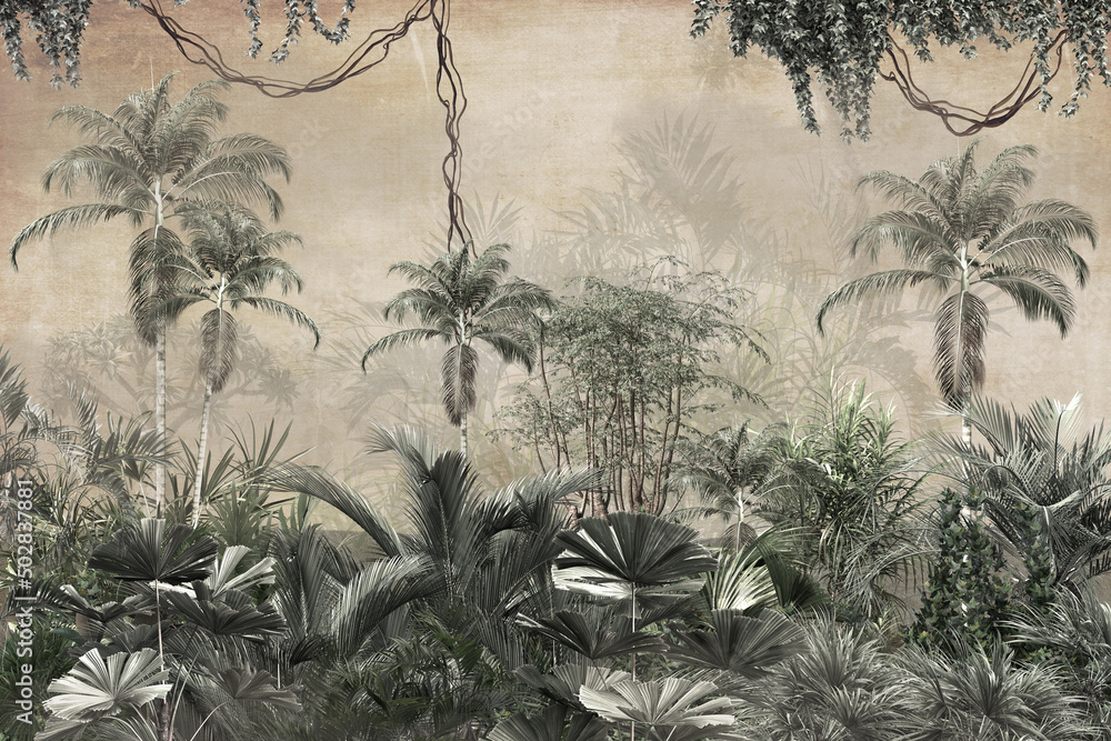 Fototapeta tropikalne liście palmy liany dżungla