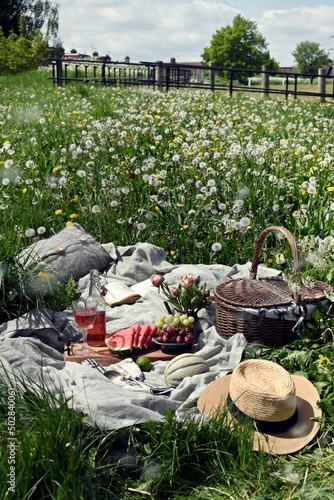 Picnic on the dry dandelion field. Hygge style picnic