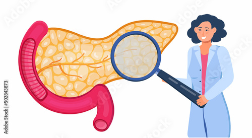 Therapist looks through a magnifying glass and make ultrasound or x ray scan. Pancreas with arteries are shown. Internal organ