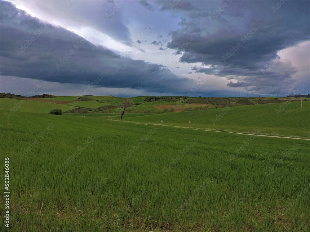 Fototapeta premium landscape with clouds