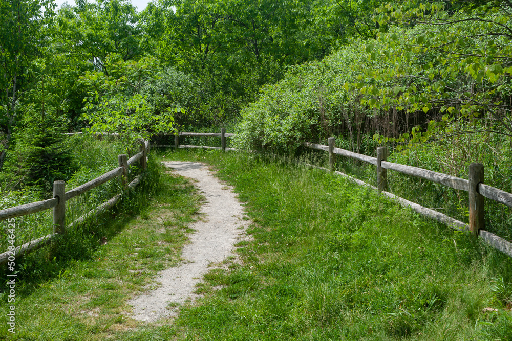 path in the park