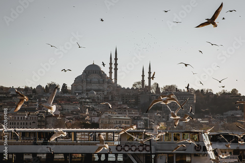 Photography Istanbul silhouette and seagulls at sunset, Suleymaniye mosque, Turkey