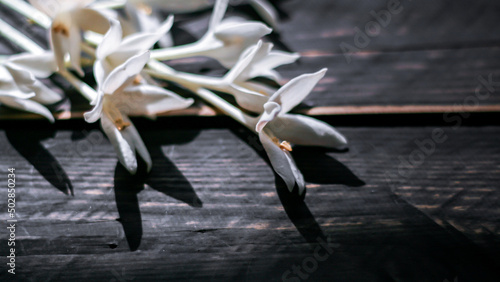 Millingtonia hortensis flowers on a black wooden table in the morning sunlight. photo