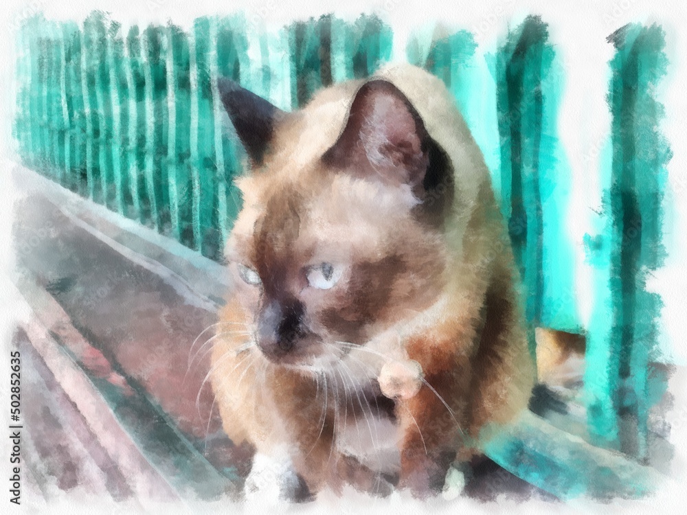 roan cat watercolor style illustration impressionist painting. roan cat watercolor style illustration impressionist painting.