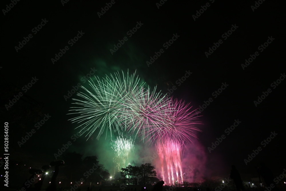 初夏の夜空を彩る花火