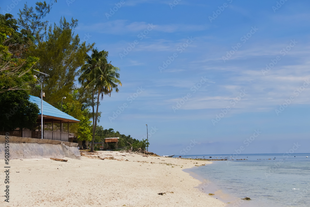 beach with palm trees