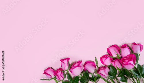 Banner con rosas sobre fondo rosa. © LiebreCromatica