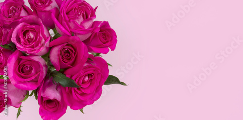 Fondo de rosas con espacio para texto. © LiebreCromatica