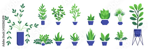 Hosue and office plants big set with different cute plant and tree set isolted