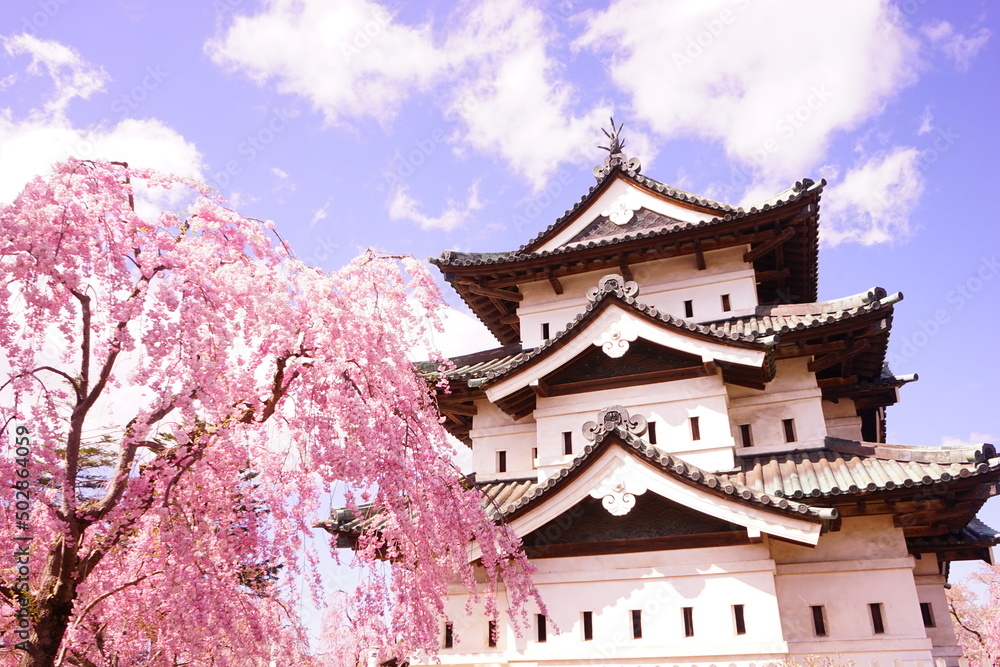 Hirosaki Castle surrounded by Pink Sakura or Cherry Blossom in Aomori, Japan - 日本 青森 弘前城 桜の花 Hirosaki Castle surrounded by Pink Sakura or Cherry Blossom in Aomori, Japan - 日本 青森 弘前城 桜の花